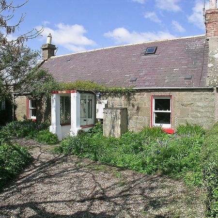 The Cottage Saint Cyrus Buitenkant foto