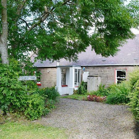 The Cottage Saint Cyrus Buitenkant foto